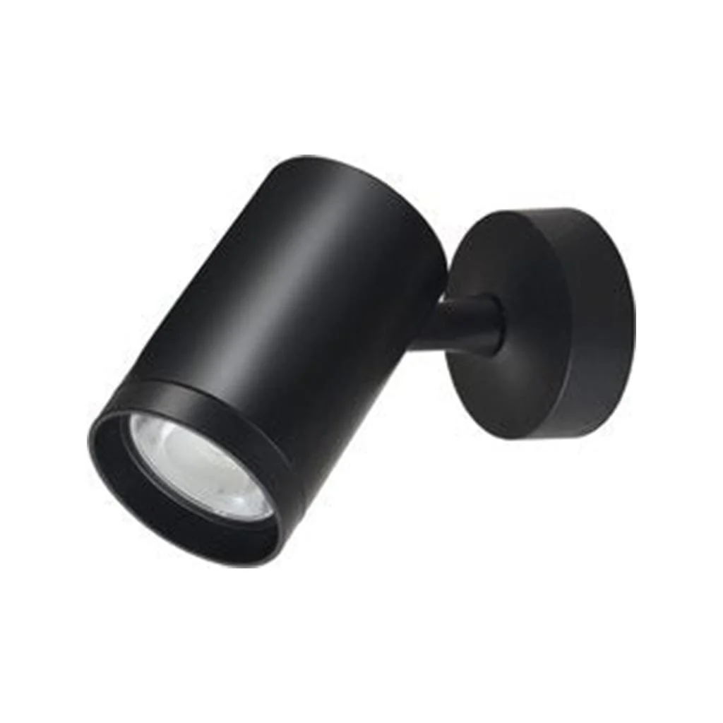 Wall Spot Light